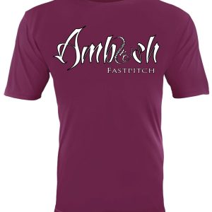 Maroon Dri Fit T-Shirt