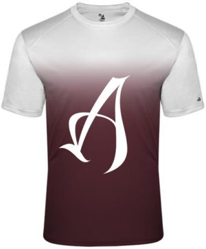 Ombre Tee-shirt w/A
