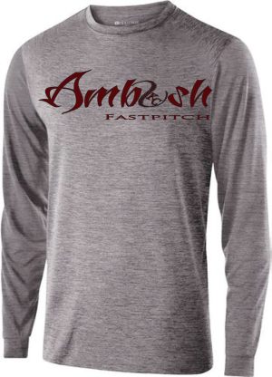 Grey Long Sleeve w/ Logo
